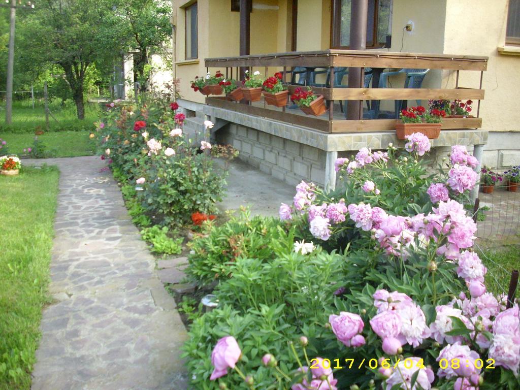 Villa Ribarica Ngoại thất bức ảnh