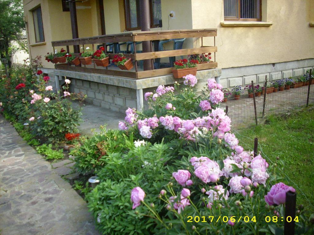 Villa Ribarica Ngoại thất bức ảnh