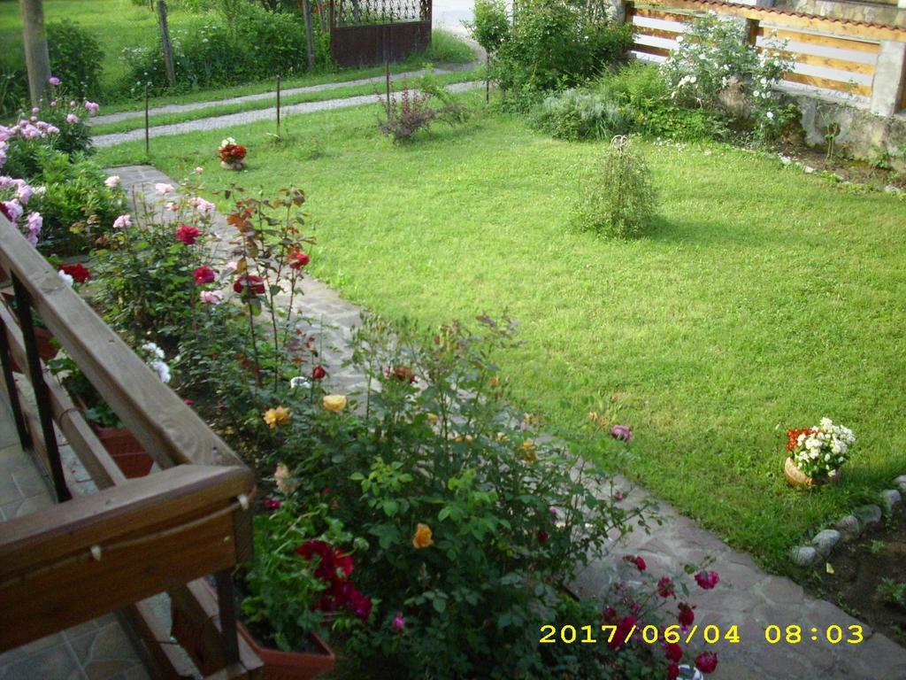 Villa Ribarica Ngoại thất bức ảnh