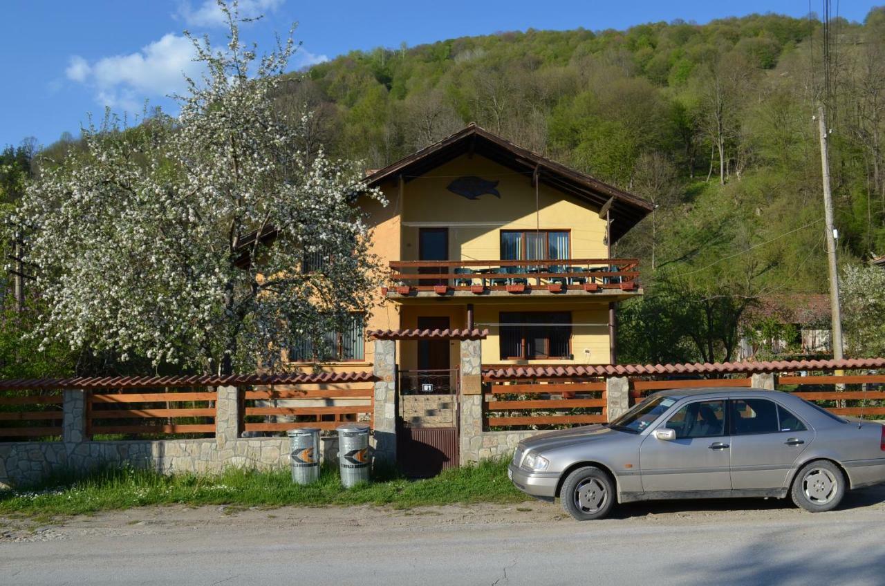 Villa Ribarica Ngoại thất bức ảnh